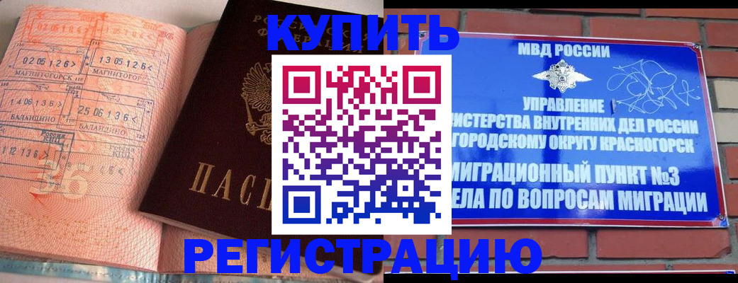 прописка 2025 в Жуковском